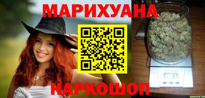 Альфа ПВП Малгобек