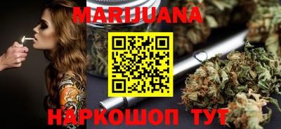 Альфа ПВП Малгобек