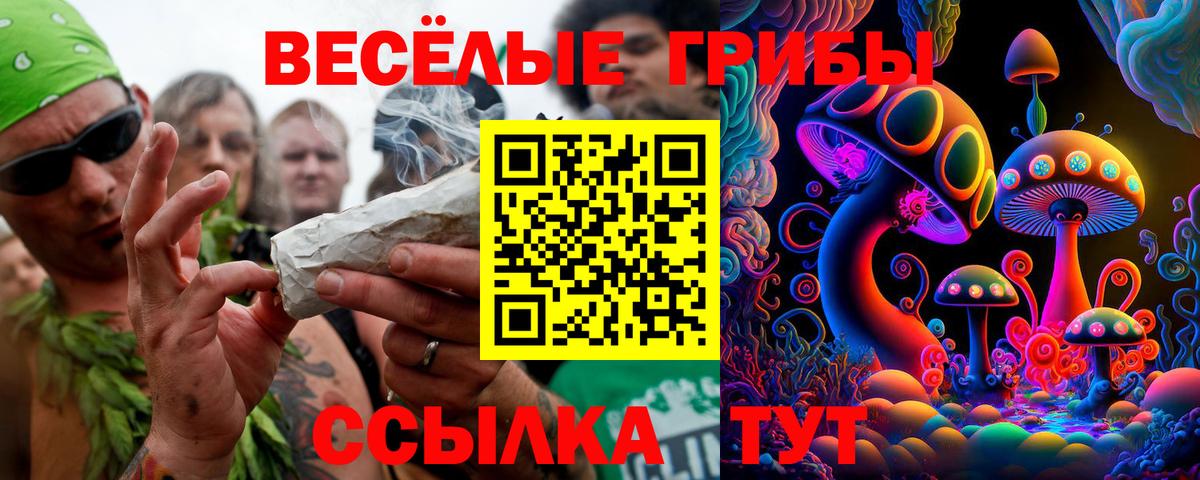 Псилоцибиновые грибы прущие грибы  Псилоцибиновые грибы MAGIC MUSHROOMS  Вход с VPN  цена наркотик  Добрянка 