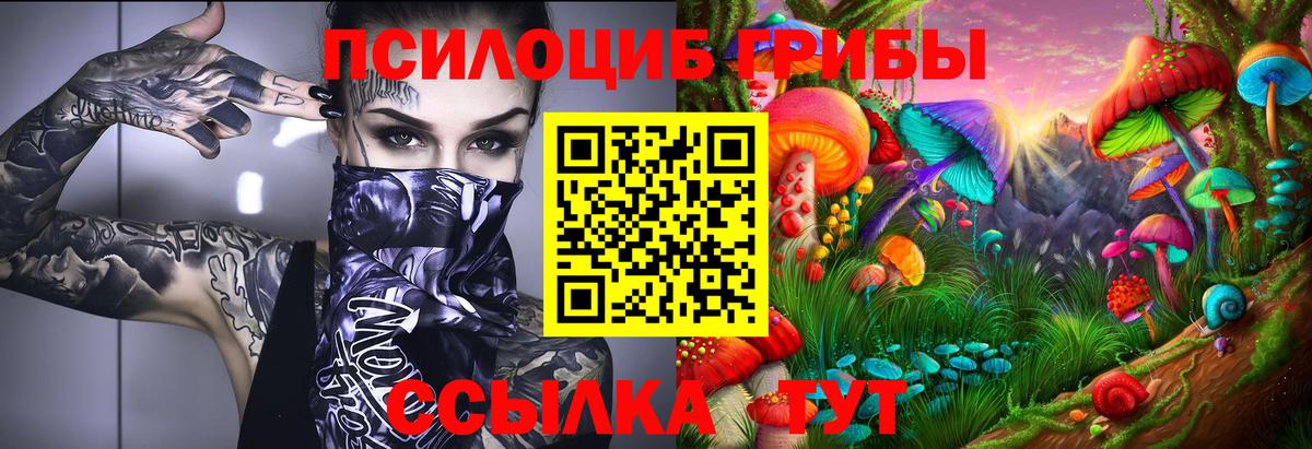 Псилоцибиновые грибы Psilocybe Добрянка
